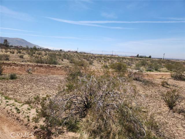 Apple Valley, CA 92308,0 Tujunga