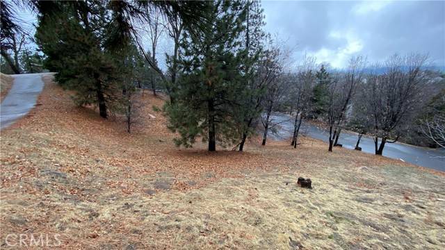 Lake Arrowhead, CA 92352,0 St Bernard