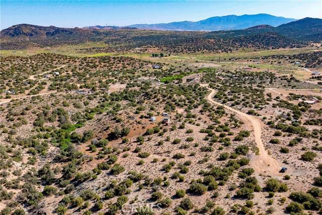 Tehachapi, CA 93561,26000 Arabian