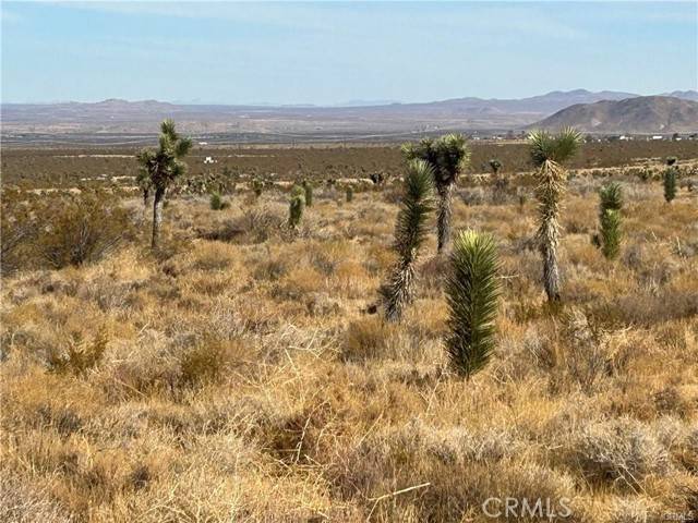 Llano, CA 93544,8 Fort Tejon