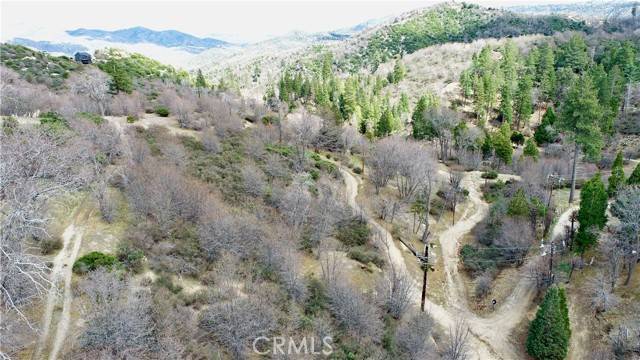 Cedar Glen, CA 92321,0 walnut
