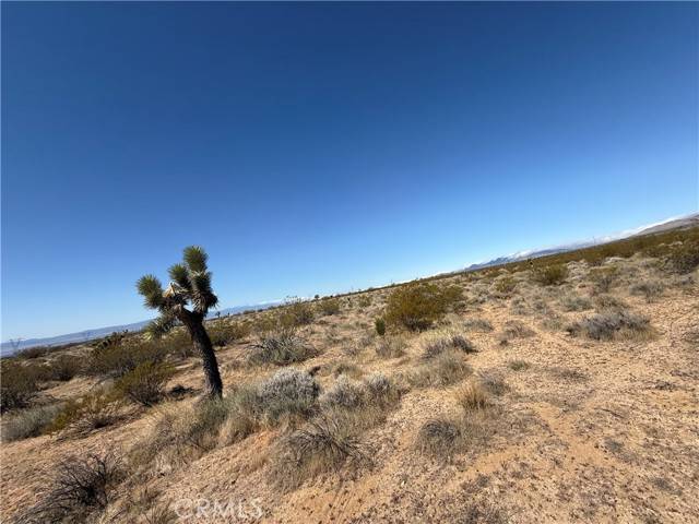 Rosamond, CA 93560,125 125th