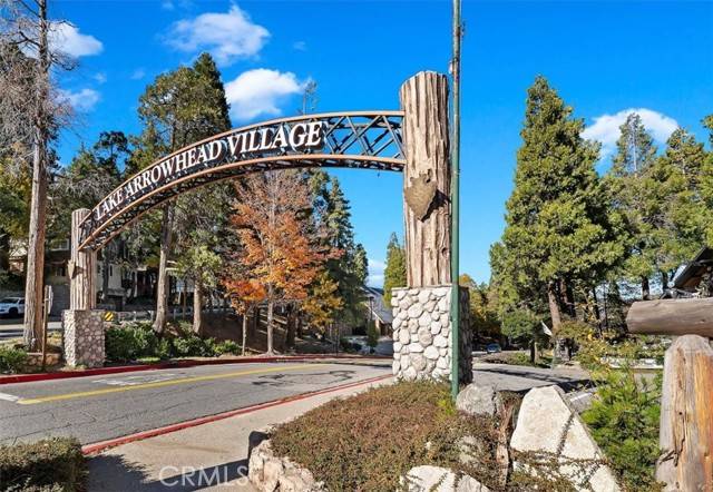 Lake Arrowhead, CA 92352,306 Dolly Varden Drive