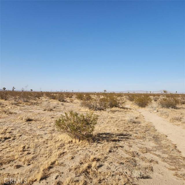 Phelan, CA 92371,0 Wilson Ranch