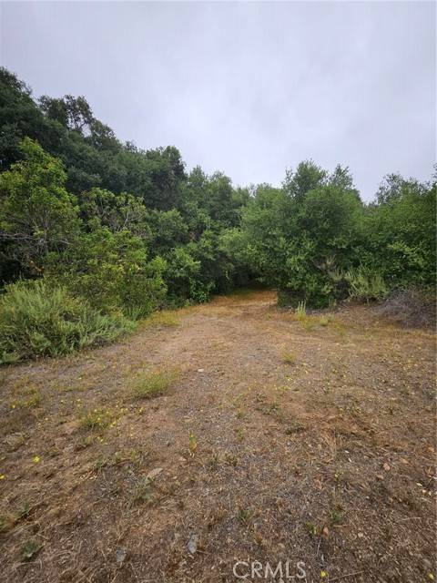 Temecula, CA 92590,0 Cam Estribo