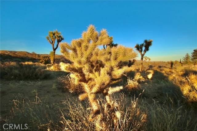 Yucca Valley, CA 92284,0 Onaga/Navajo