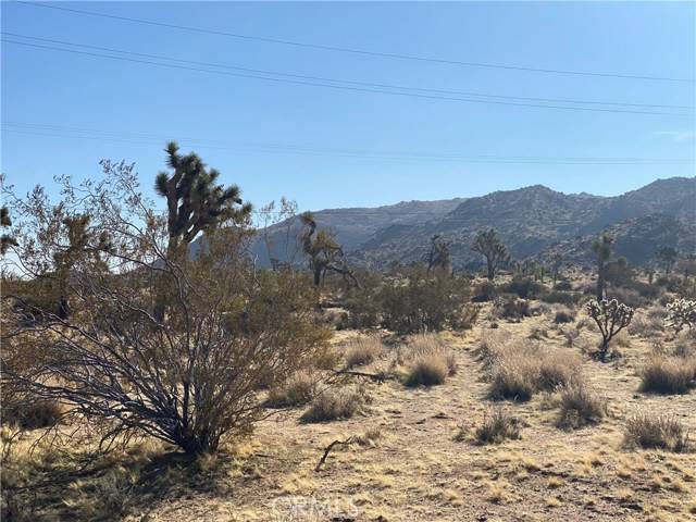 Yucca Valley, CA 92284,7800 La Contenta