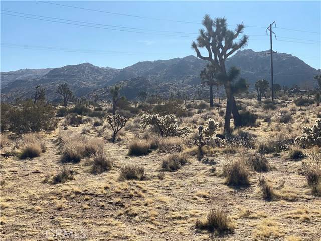 Yucca Valley, CA 92284,7800 La Contenta