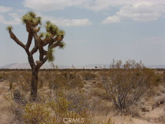 Joshua Tree, CA 92252,61011 Sonora