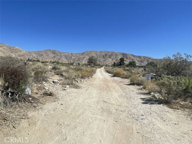 Morongo Valley, CA 92256,12 Encilia