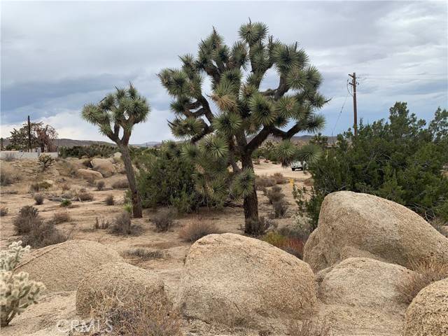 Yucca Valley, CA 92284,5725 Cholla