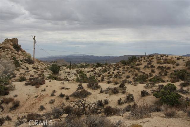 Yucca Valley, CA 92284,5725 Cholla