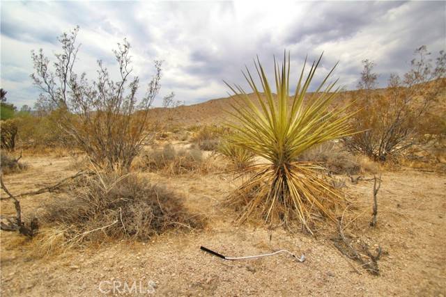 Morongo Valley, CA 92256,53052 Twentynine Palms