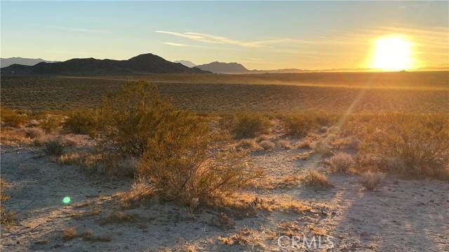 Joshua Tree, CA 92252,900 Winters/Sunever