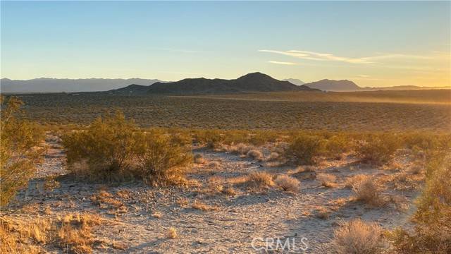 Joshua Tree, CA 92252,900 Winters/Sunever