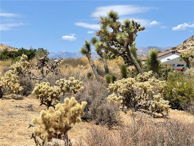 Yucca Valley, CA 92284,55940 El Dorado