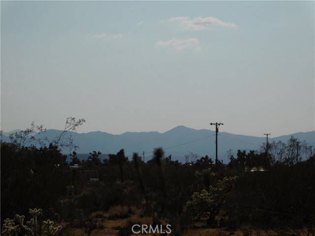 Yucca Valley, CA 92284,0 Balsa