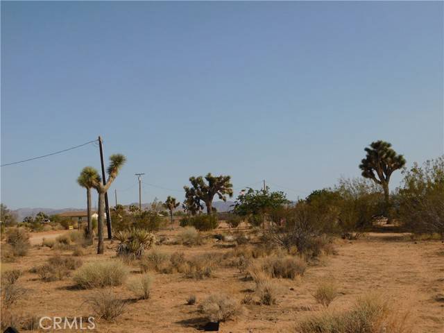 Yucca Valley, CA 92284,0 Balsa