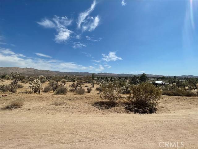 Yucca Valley, CA 92284,0 Nelson