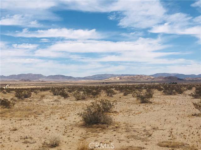 29 Palms, CA 92277,4 Amboy