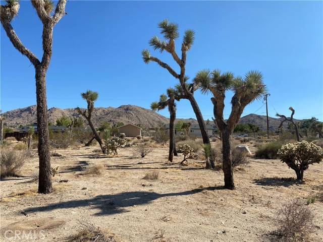 Joshua Tree, CA 92252,60195 Alta Loma