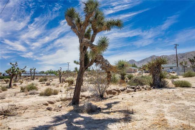 Joshua Tree, CA 92252,60195 Alta Loma