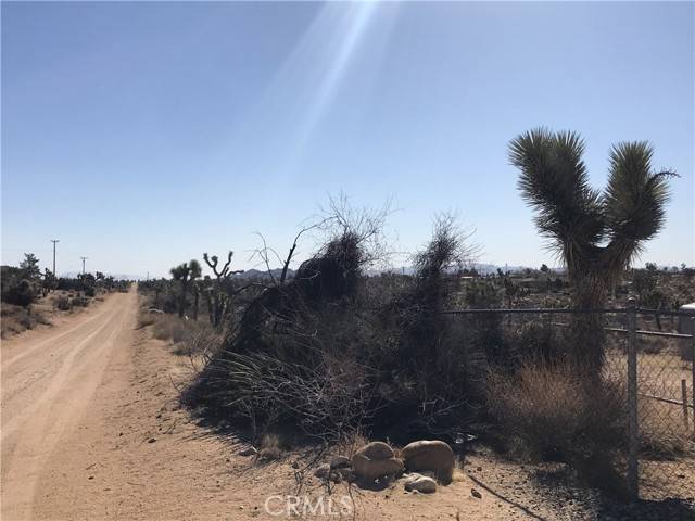 Yucca Valley, CA 92284,56949 Campanula