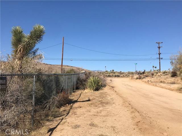 Yucca Valley, CA 92284,56949 Campanula