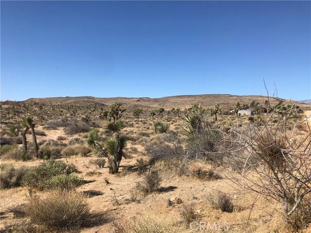 Yucca Valley, CA 92284,56949 Campanula