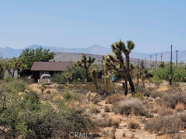 Yucca Valley, CA 92284,0 Buena Vista