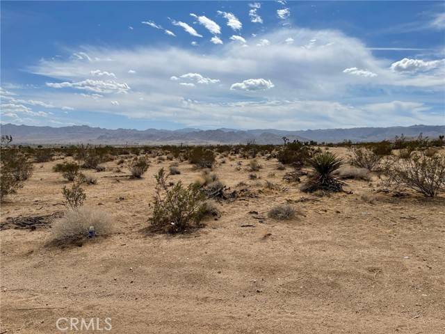 Joshua Tree, CA 92252,0 Golden