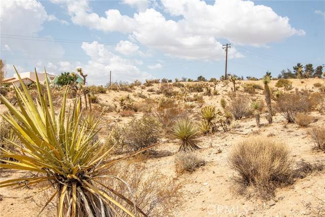 Yucca Valley, CA 92284,4 Nelson