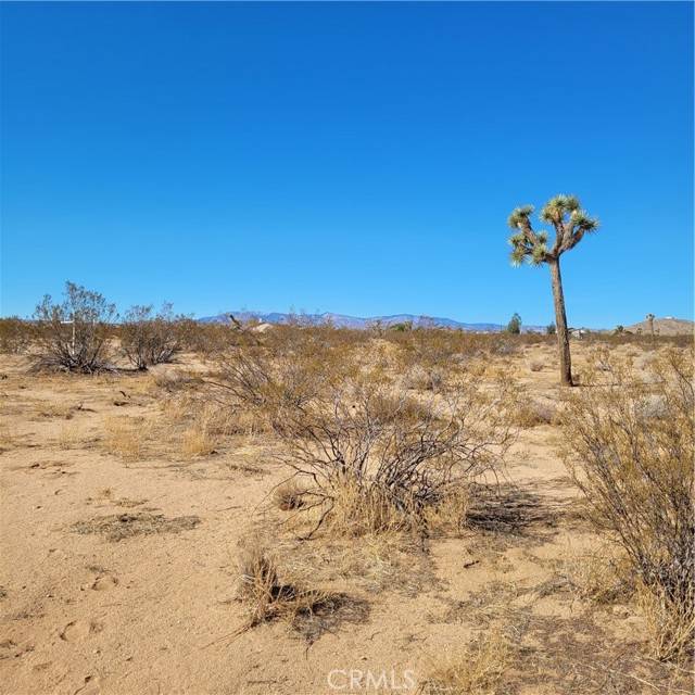 Joshua Tree, CA 92252,68 Duvall