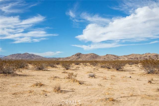 Joshua Tree, CA 92252,777 Sunever