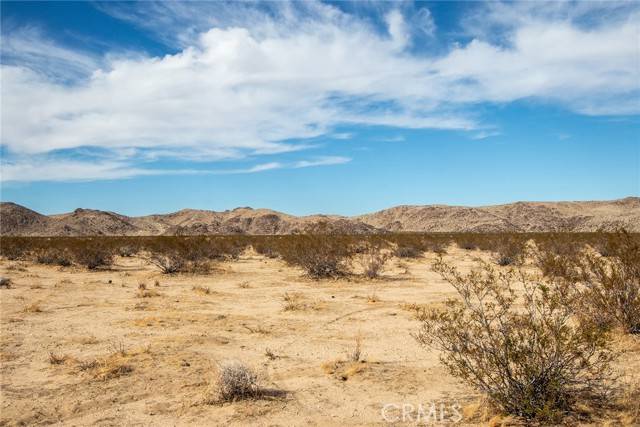 Joshua Tree, CA 92252,777 Sunever