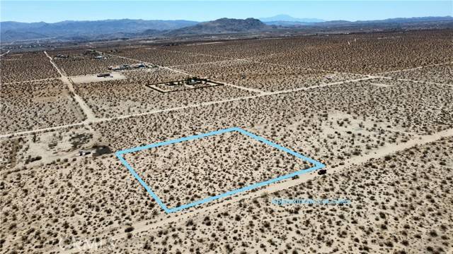 Joshua Tree, CA 92252,0 Desert Lily