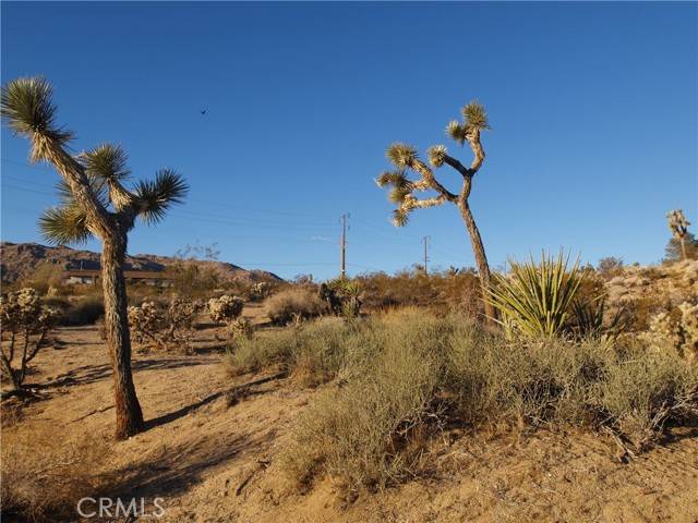 Joshua Tree, CA 92252,7275 Saddleback