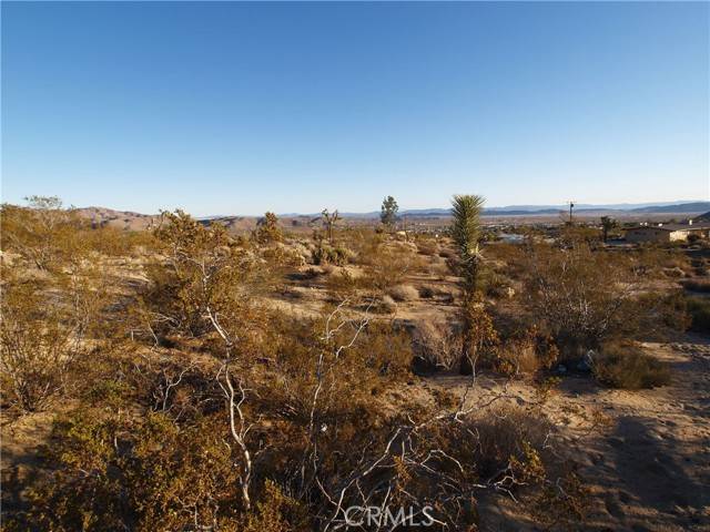 Joshua Tree, CA 92252,7275 Saddleback