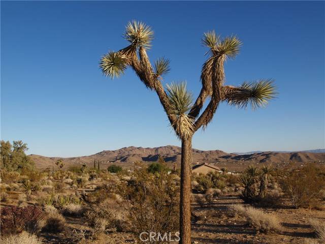 Joshua Tree, CA 92252,7275 Saddleback