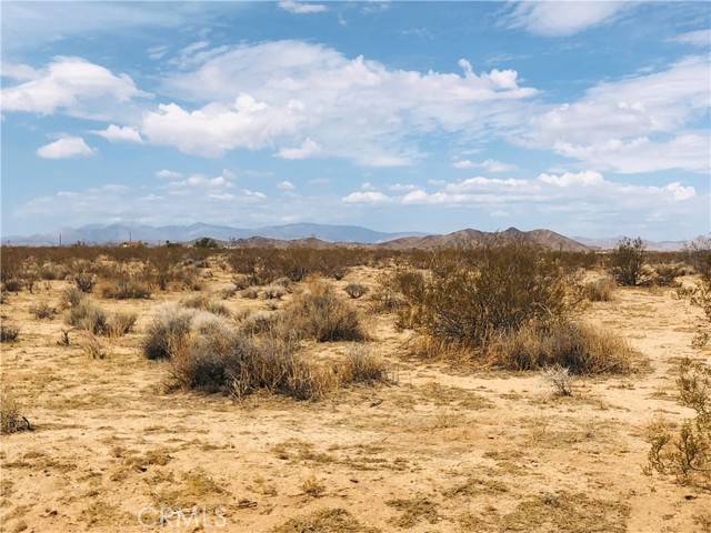 Joshua Tree, CA 92252,0 E Of Sunset