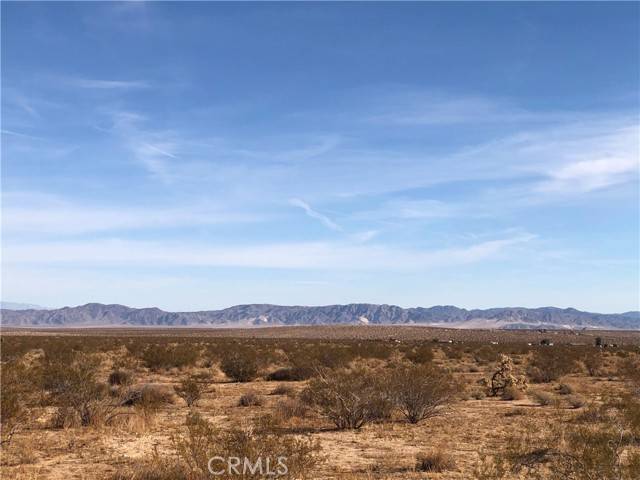 Joshua Tree, CA 92252,0 E Of Sunset