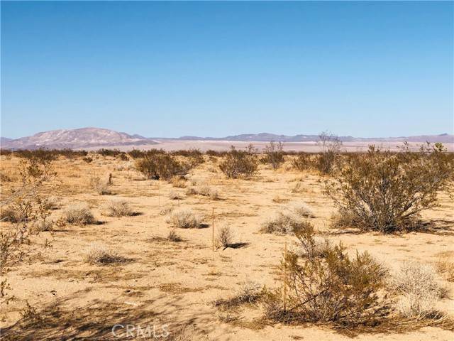 Joshua Tree, CA 92252,0 E Of Adele