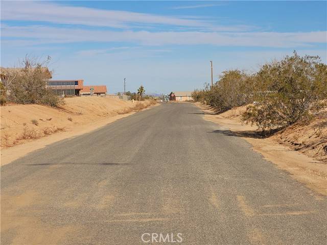 Yucca Valley, CA 92284,0 Campanula