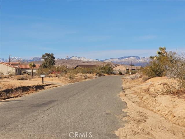 Yucca Valley, CA 92284,0 Campanula