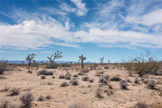 Yucca Valley, CA 92284,4 El Rancho