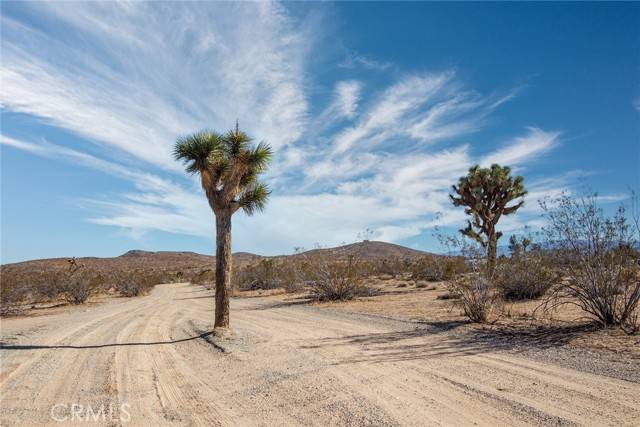 Yucca Valley, CA 92284,4 El Rancho