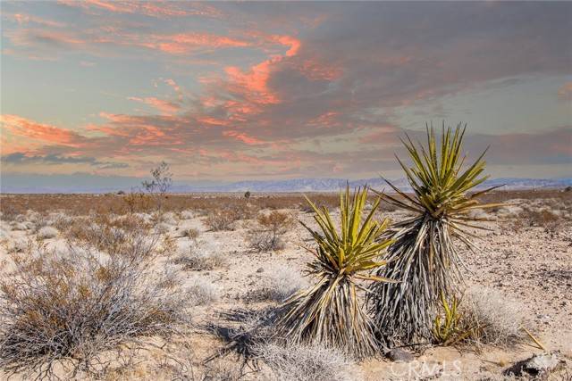 Joshua Tree, CA 92252,1200 Saturn