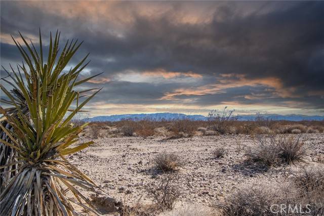 Joshua Tree, CA 92252,1200 Saturn