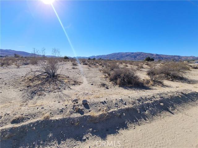 29 Palms, CA 92277,75077 Old Dale