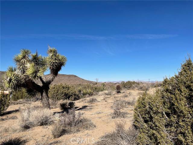 Yucca Valley, CA 92284,0 Carlsbad